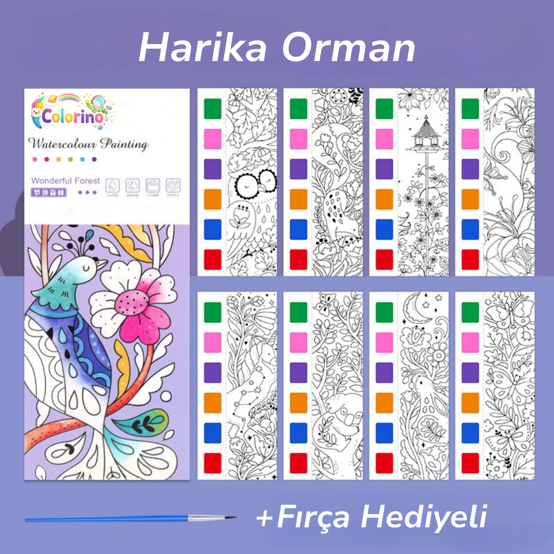 Colorino Kolay Boyama Seti - Fırça Hediyeli